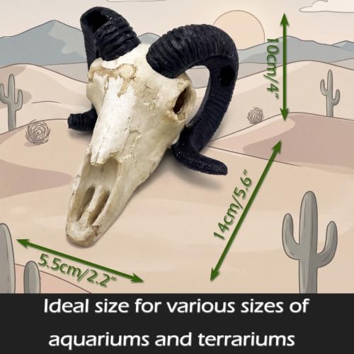 Fish Aquarium Tank Hideout Décor Decorations Dinosaur Skull Fish Tank Decor Cave Skull Betta Animal Halloween Large Reptile Bones Snake for Terrarium Ornament (Horned Sheep)