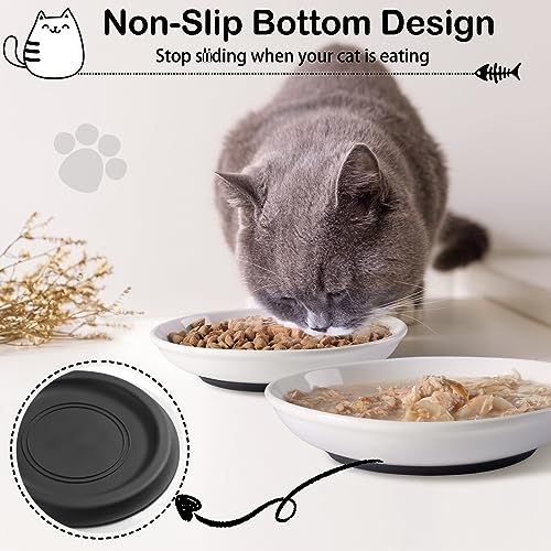 Cat Food Bowl (Shallower-6 Pack)