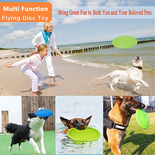 Dog Flying Disc (Blue & Green)
