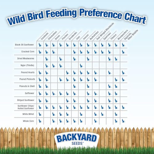 20LB Backyard Seeds Squirrel & Friends Wildlife Feed (20 Pound (Pack of 1))