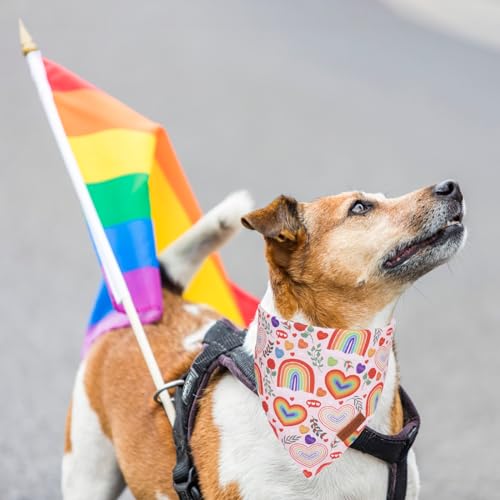 Rainbow Dog Bandanas (Small / Rainbow)