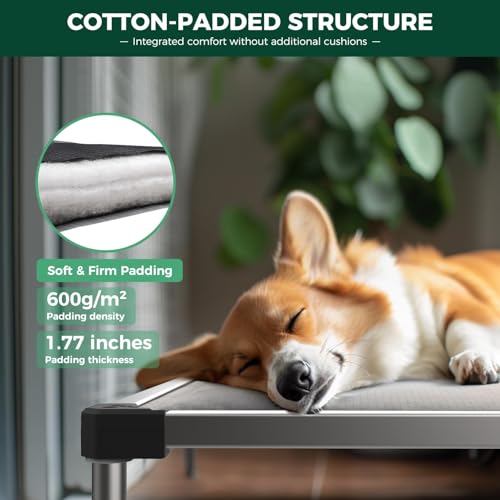 TitanNest Padded Chew (Gray / Small Dog (35.0"L x 22.0"W x 4.5"H) + Cover)