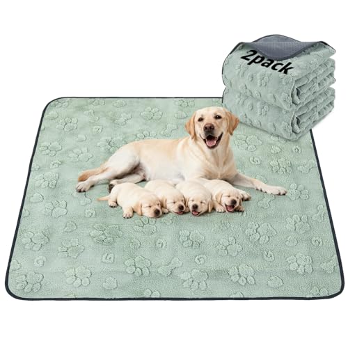 Washable Pee Pads for Dogs (Green Dog Element / 36"x48"(Pack of 2))