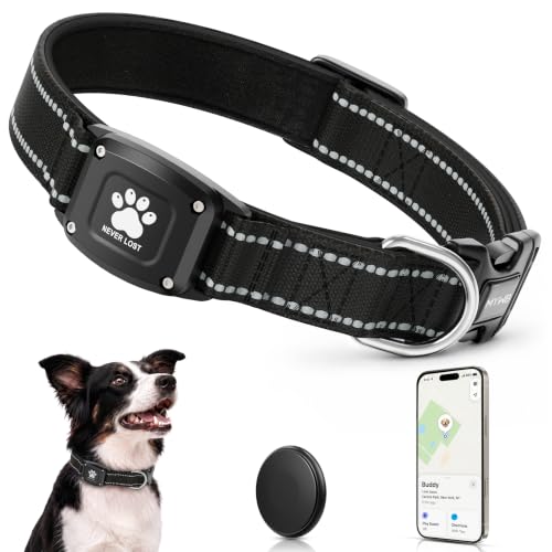 GPS Dog Collar with Tracker (Black / XS(10.5''-13.5''))