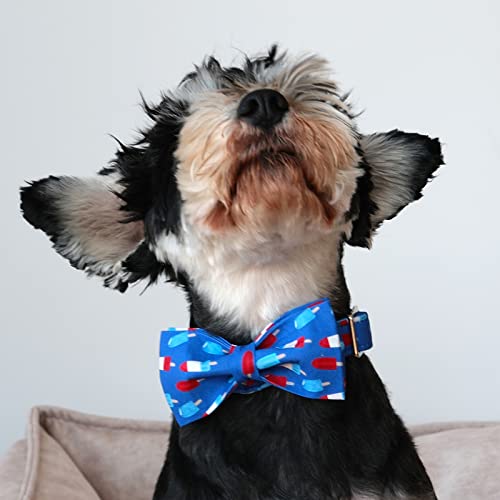 Patriotic Dog Collar with Bowtie (Popsicle / Large (Pack of 1))