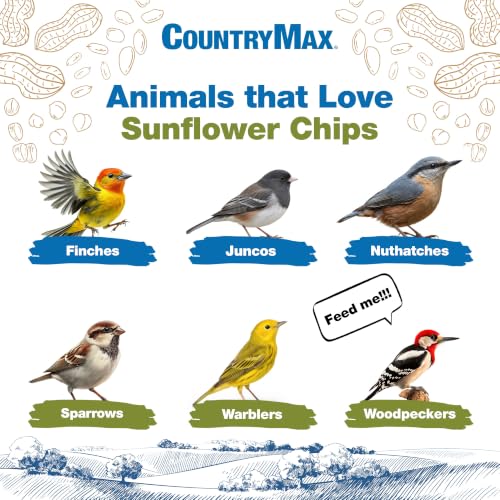 20LB Sunflower Seeds for Birds (Sunflower - Medium Chips / 20 Pound (Pack of 1))