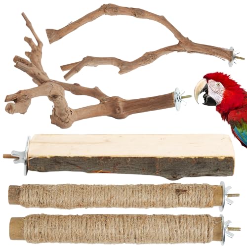 Bird Perch Stand