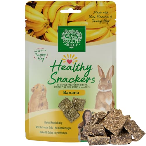Healthy Snackers (2 Ounce (Pack of 1))