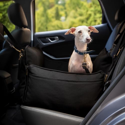 Small Dog Car Seat for Small Medium Pets with Harness Clip (Black - Canvas / Medium)