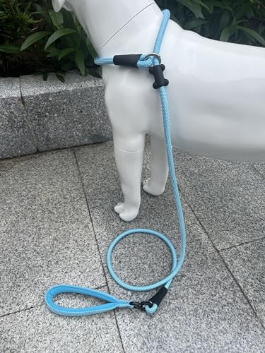 Slip Lead Dog Leash (1/2"×6ft / Light Blue)