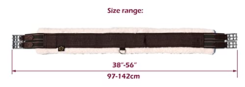 Daily English Girths for Horses (Brown / 40")