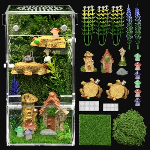 Jumping Spider Enclosure Starter Kit (Green / Small)
