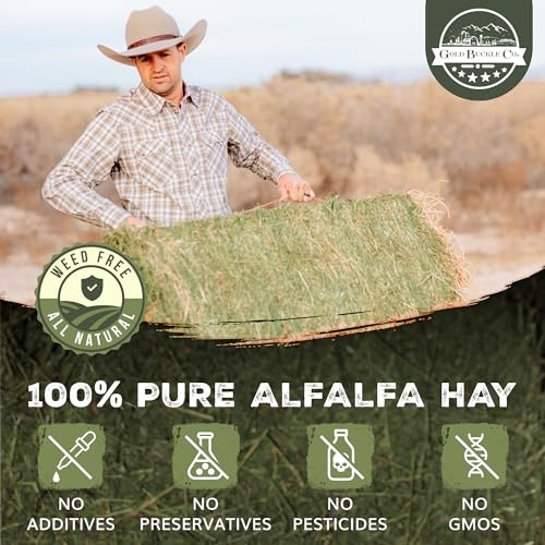 Premium Alfalfa Hay for Rabbits & Guinea Pigs (9 Pound (Pack of 1))