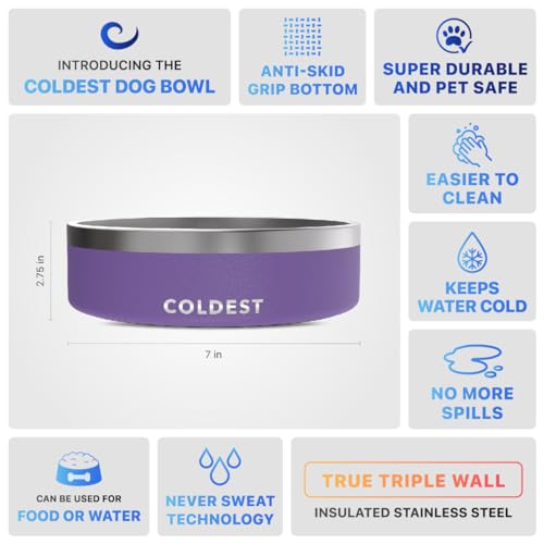 Coldest Dog Bowl (42 oz / Galaxy Purple)