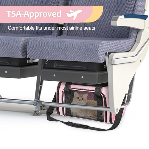 Cat Dog Carrier Up to 15 Lbs TSA Airline Approved Pet Carrier for Small Medium Cats Puppies Dog Carriers for Small Dogs Collapsible Soft Sided Cat Travel Carrier (15.8"L x 10.2"W x 10.2"H / Pink)