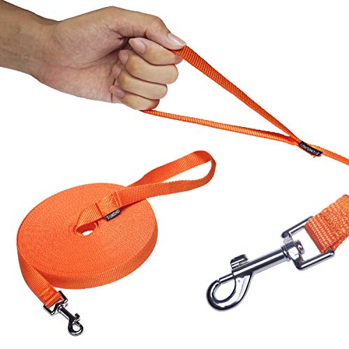 Dog Puppy Obedience Recall Training Agility Lead (Orange / 15 Feet)