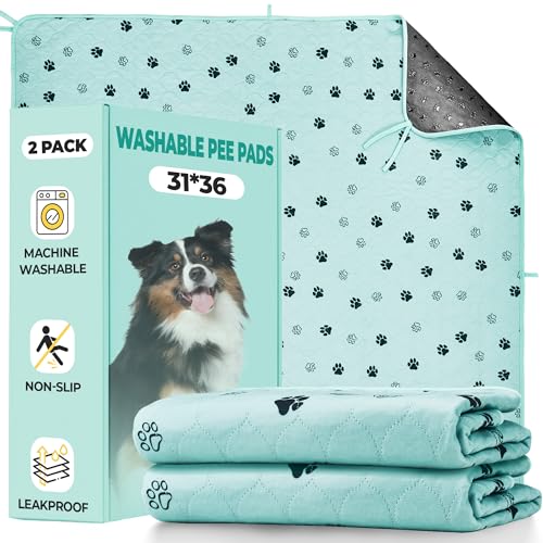 Washable Dog Pee Pads (Green / 31*36 Inch (Pack of 2))