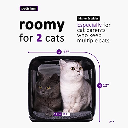 Soft Pet Carrier for Large and Medium Cats (Black)
