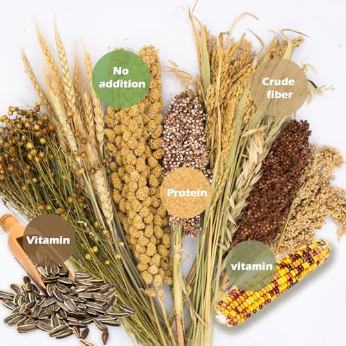 Natural Grain Flower&Herb Hamster Habitat Cage Accessories Bedding Decor (Miscellaneous grain crops)
