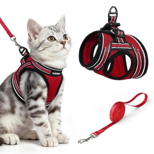 Cat Harness and Leash Set (M / Red)
