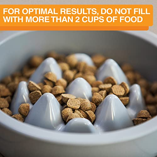 Express Mess Proof Dog Bowls Elevated for Medium and Large Breed (Medium to Large w/ 9 Peak Slow Feed Bowl / Almond)