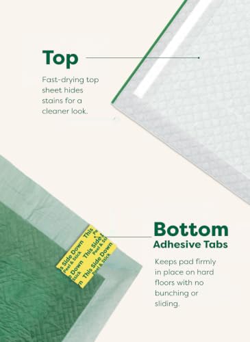 Regular [L] Puppy Pee Pads (Discreet Top / Regular [L] 22"x23" 75ct)