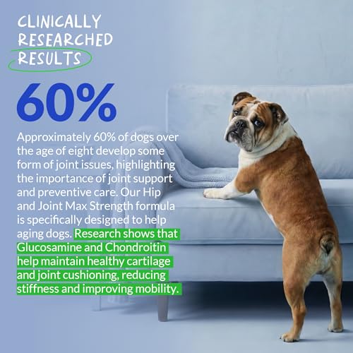 Max Strenght Hip & Joint Supplement for Senior & Large Breeds Dogs
