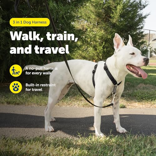 3 in 1 No Pull Dog Harness (Black / Medium (Pack of 1))