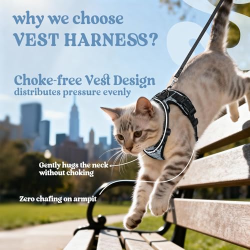 Cat Harness and Leash Set (Xs / Doodle Gray)