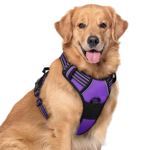 Dog Harness No Pull for Large Dogs with 2 Leash Clips (X-Large / Purple)