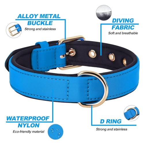 Soft Padded Dog Collars for Small Dogs (Blue / S: Fit 9-12" Neck)
