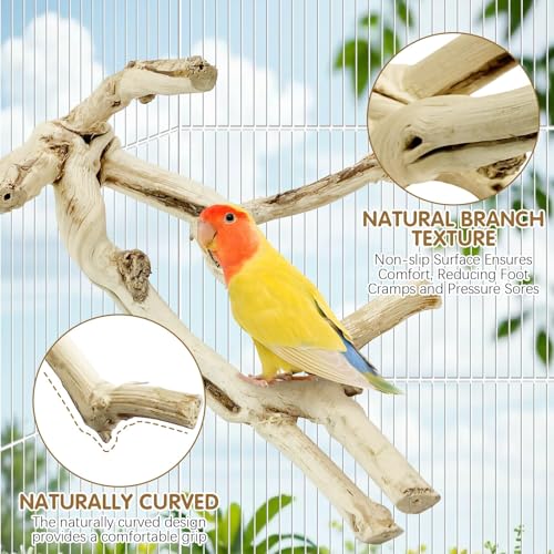 Bird Perch Stand 10"