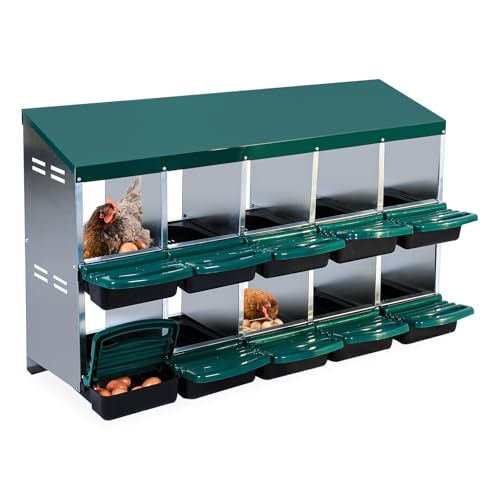 Chicken Nesting Box (Green- 10 compartment)