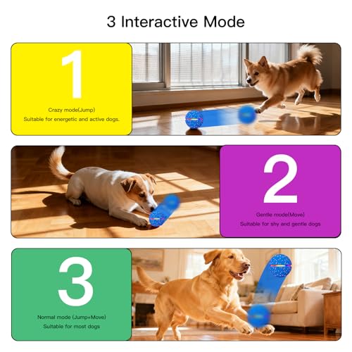 Interactive Smart Moving Dog Ball Toy (Blue / Medium)