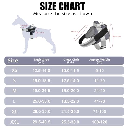 Dog Harness No (Small (Pack of 1) / Lavender)
