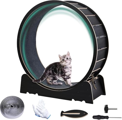 Large Cat Exercise Wheel 40 Inch Treadmill Exerciser for Indoor Cats Love Kitty Running Toy Walking Training for Fitness Weight Loss Device Suitable for Most Cats Physical Exercise (Black)