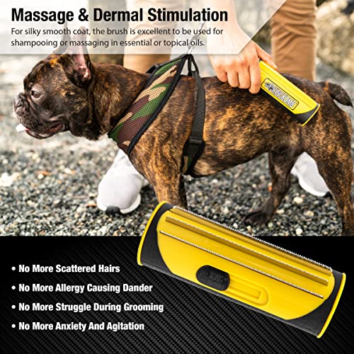 Deshedding Dog Brush (Large (Pack of 1))