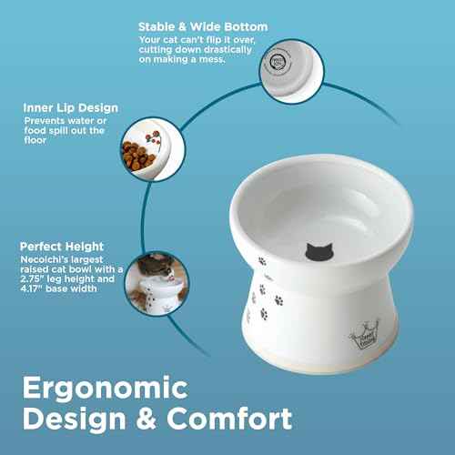 Necoichi Porcelain (Cat / Large)