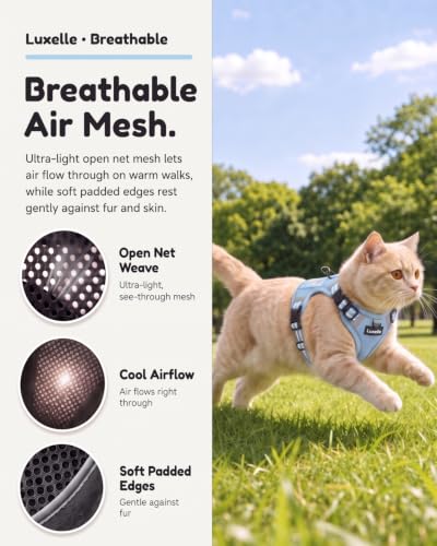 Escape Proof Cat Harness and Leash Set (Light Blue / XS)