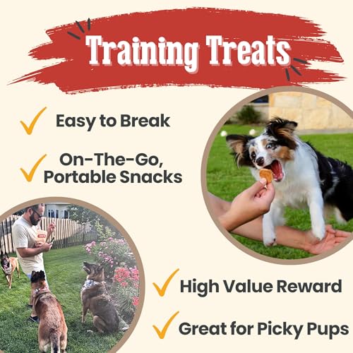 Dog Treats Chicken Chips (4 Ounce (Pack of 1))