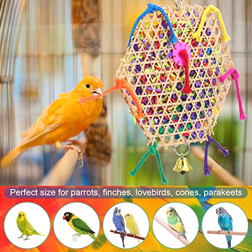 Bird Parrot Toys (A-2 pack)