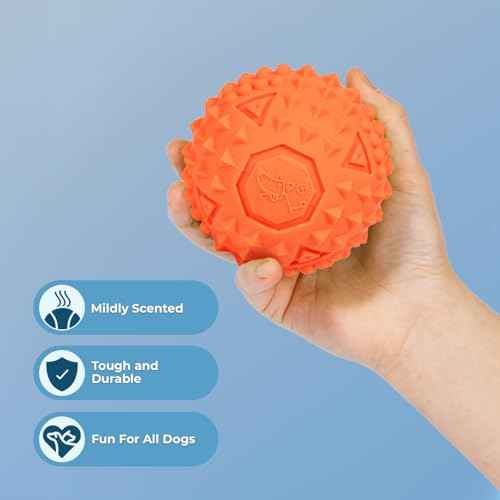 Squeaky Dog Toys with Soft Durable Fabric for Small (Orange / Large)