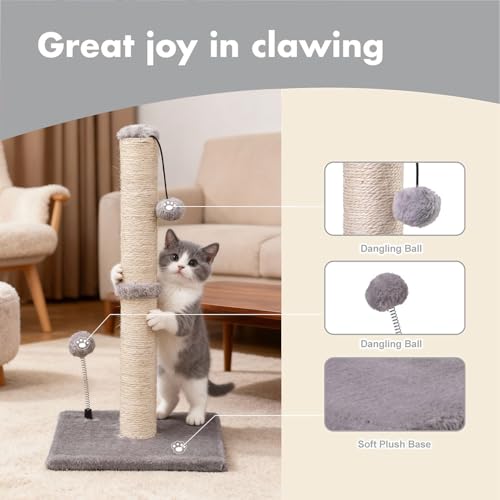 Cat Scratching Post Premium Basics Kitten Scratcher Sisal Scratch Posts with Hanging Ball 22" for Kittens or Smaller Cats (22 inches for kitten / Gray)