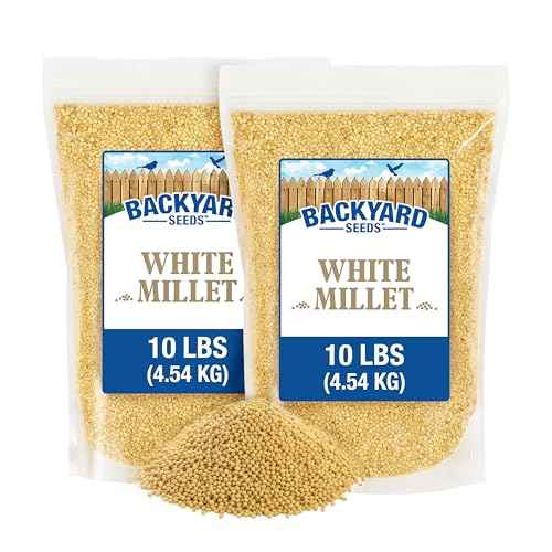 20LB White Proso Millet Bird Seed for Wild Birds & Finches (White Millet / 20 Pound (Pack of 1))