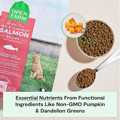 Grain Free Dry Cat Food (8 Pound (Pack of 1))