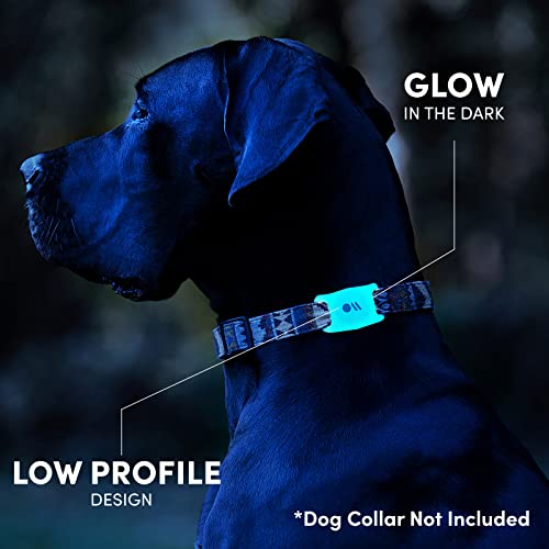 1 Pack AirTag Dog Collar Holder (Glow in the Dark)