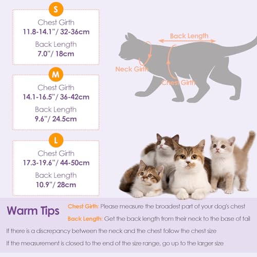 Cat Recovery Suit (Candy / Large)