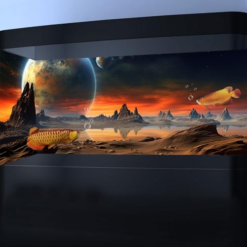 30X12IN Cosmic Aquarium Background (30X12in/75X30cm / Outer Space)