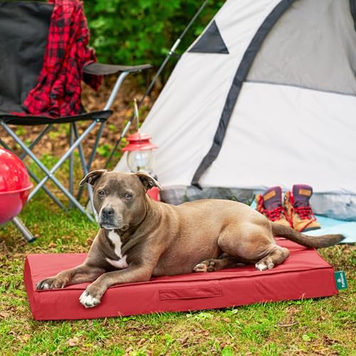 Cooling Dog Bed (Large / Red)