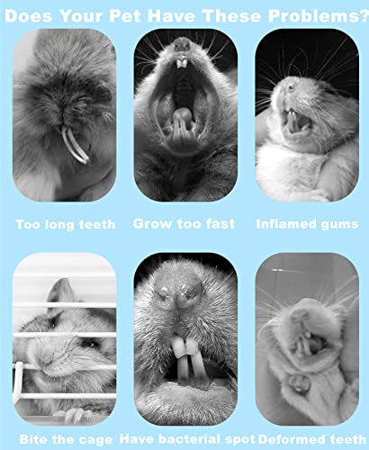 150g 3 Types of Combined Chew Toys Molar Sticks Sweet Bamboo Apple Branch Timothy Grass for Pets Chinchilla Squirrel Gerbil Hamster Squirrel Guinea Pigs (150g)